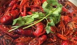 四川小龙虾爆料视频最新,揭秘当地美食背后的秘密与魅力