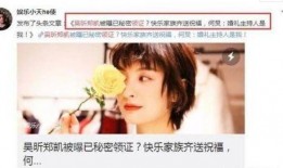 圈内人士爆料吴昕,圈内人士独家爆料揭秘